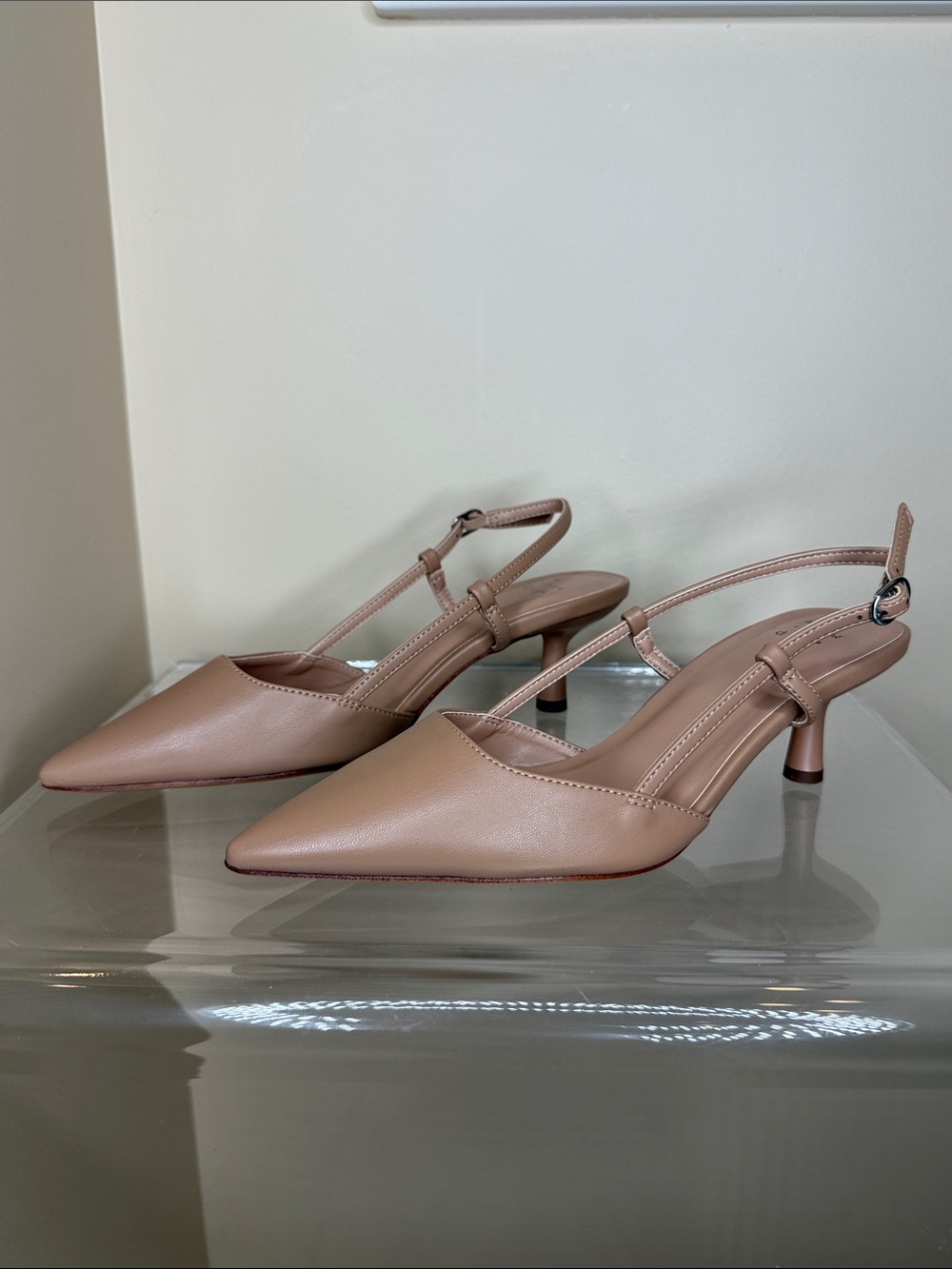 Pointed Toe Slingback Heels in Nude